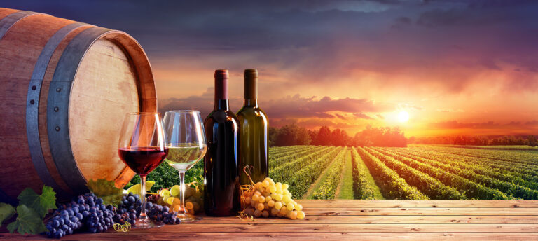 winery wastewater footprint