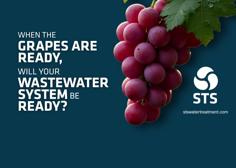 Get Crush-Ready: Essential Start-Up Services for Winery Wastewater Treatment Systems